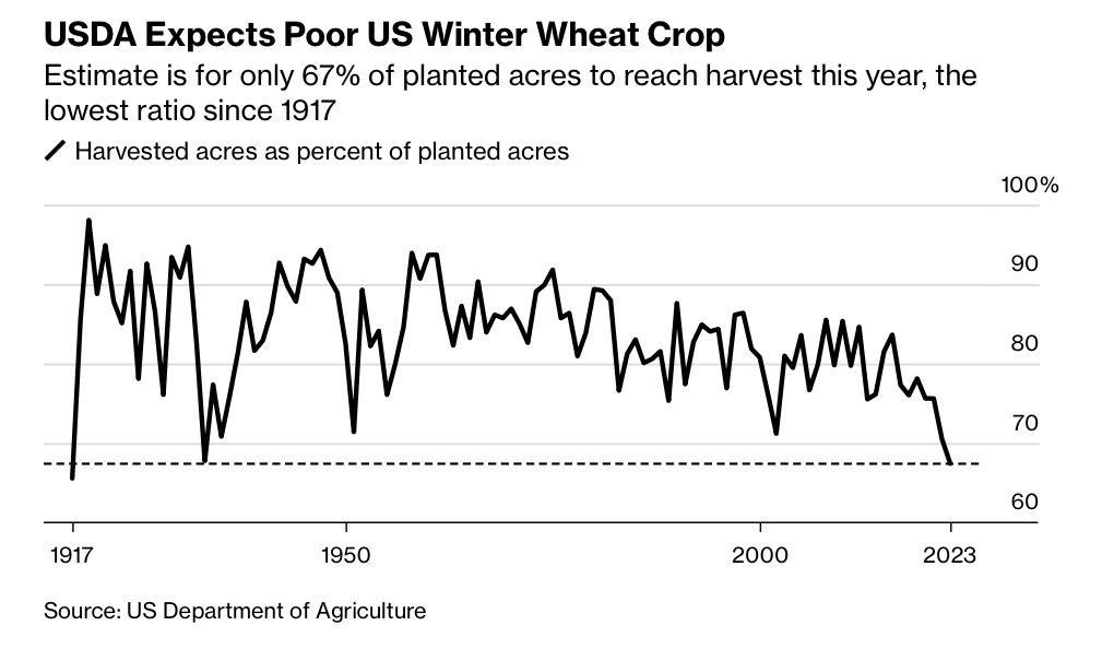 USDA Expects Poor US Winter Wheat Crop