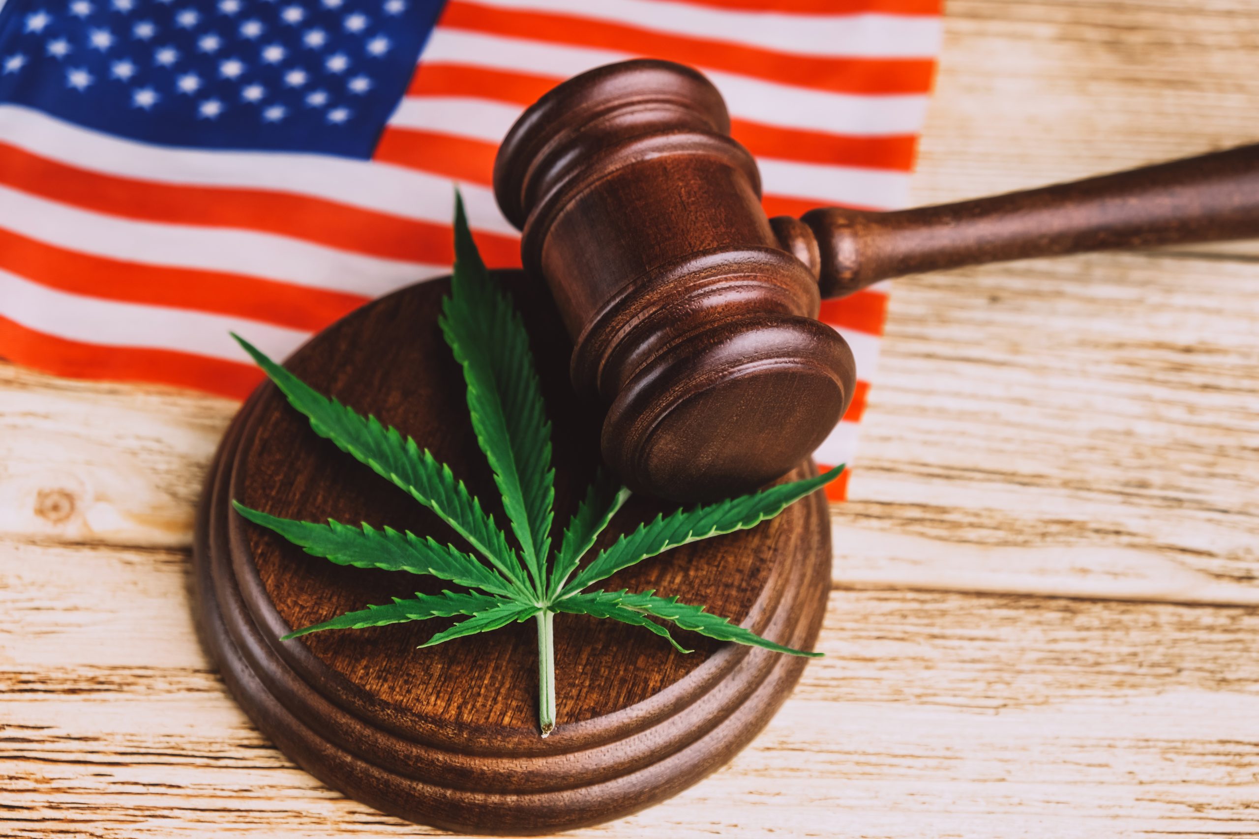Cannabis leaf on sound block under gavel over US flag. High angle view of green fresh cannabis leaf lying down on sound block under gavel over USA flag on wooden table.