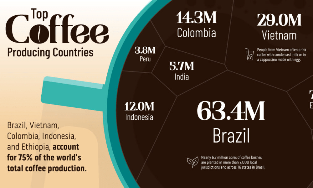 Top coffee producing countries