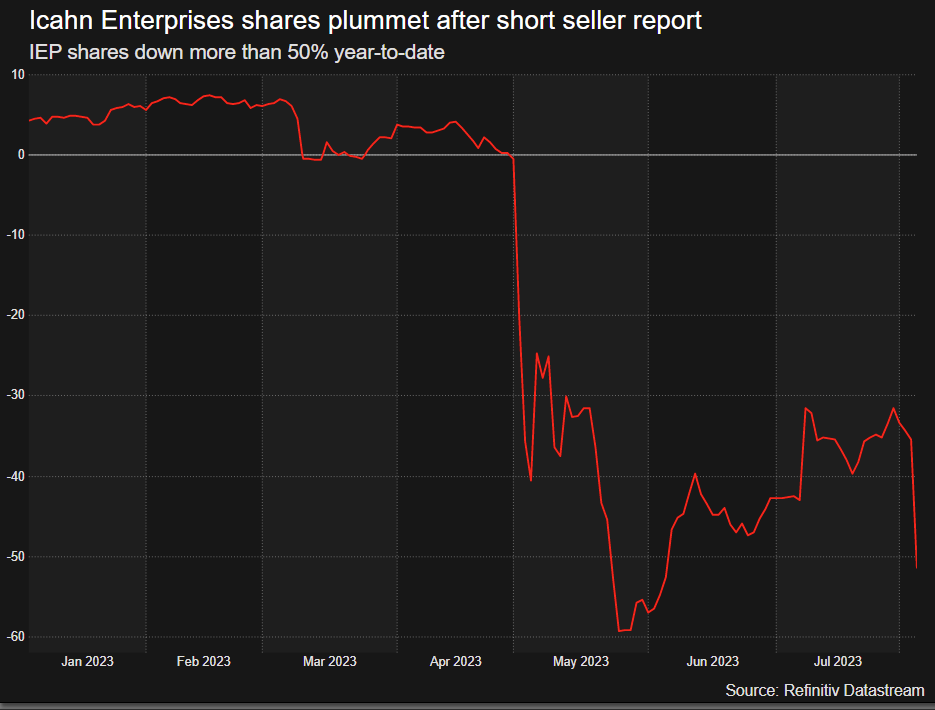 IEP share price falls