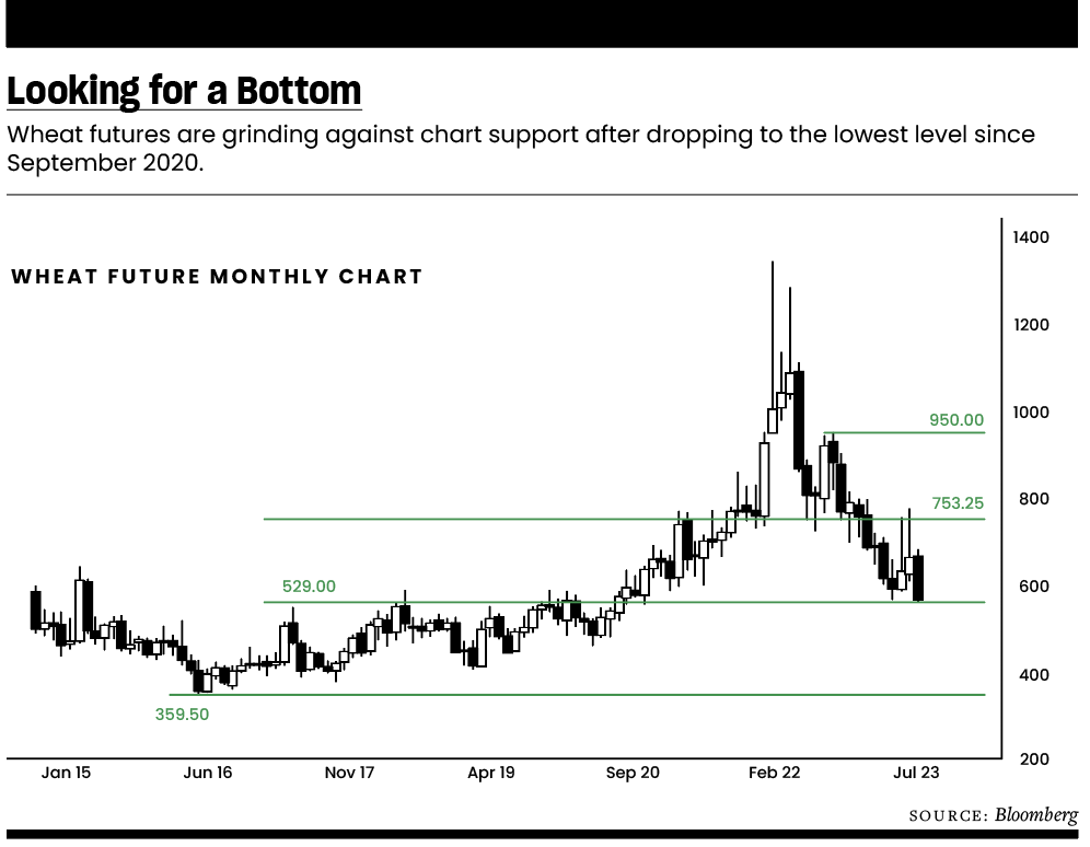 looking for a bottom 